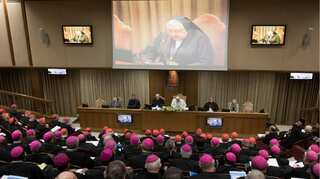 Top cardinal says Catholic church files on paedophile priests were 'destroyed'