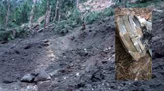 Pakistan: UN, WWF team to visit Balakot to account 'loss' of trees due to IAF strikes