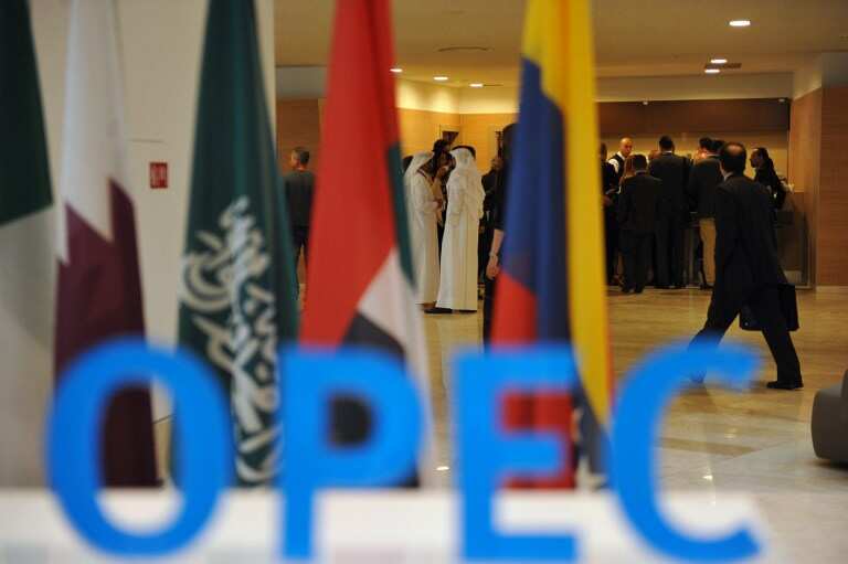 OPEC+ meeting delayed as Saudi Arabia and Russia row over price collapse