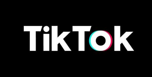 Watch: A female cop harassed by a bunch of clout-chasing TikTok men