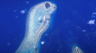 Ocean heatwaves devastate wildlife, worse to come