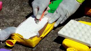 Higher demand for cocaine in US, Europe boosts trafficking in Central America