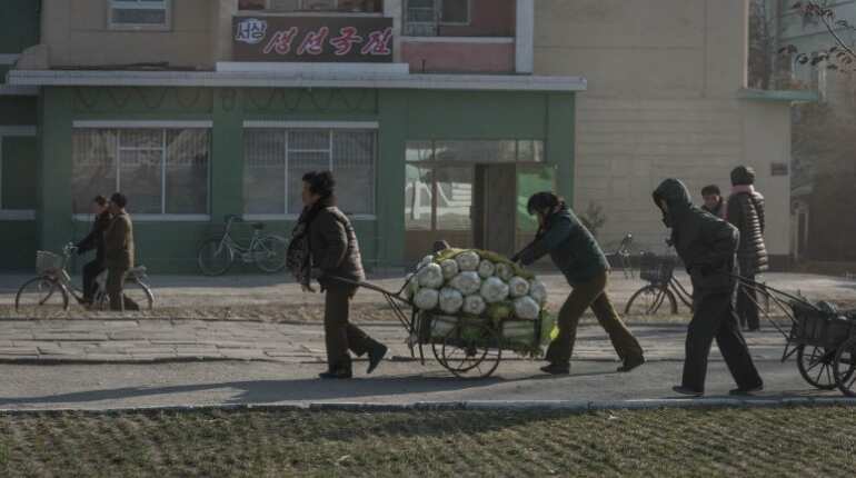 North Korea food production 'lowest for a decade': UN