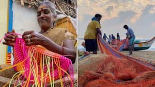 Apple CEO Tim Cook lauds iPhone photos taken by school kids at Chennai Photo Biennale