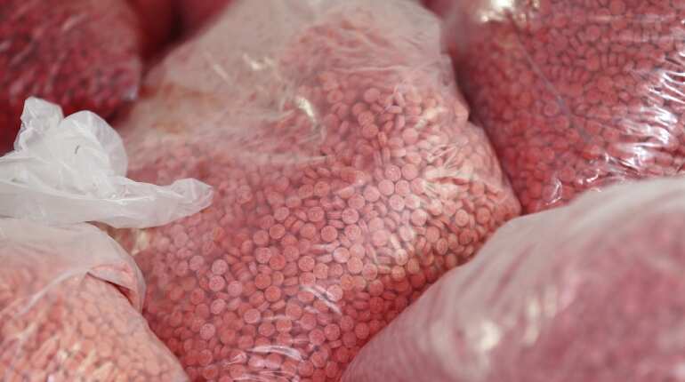 Police bust Netherlands’ biggest meth lab that can produce 100kg drugs