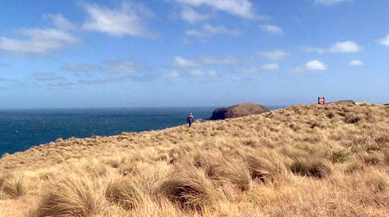 Remote area with 'world's cleanest air' tracks global change