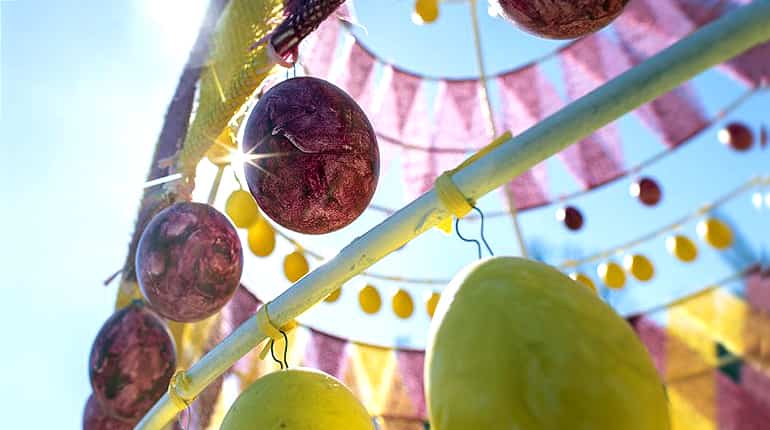 Factory in Germany dyes thousands of eggs daily ahead of Easter