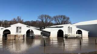 More than 1 million acres of US cropland ravaged by floods