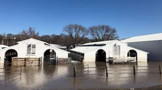More than 1 million acres of US cropland ravaged by floods