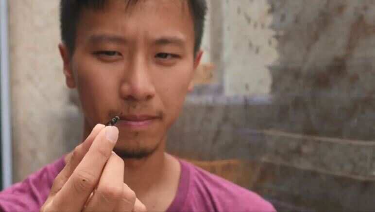 Singapore's first urban insect farm