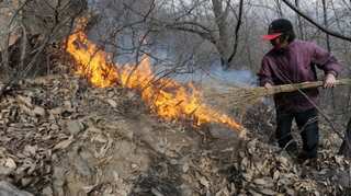 26 firefighters die battling China forest fire