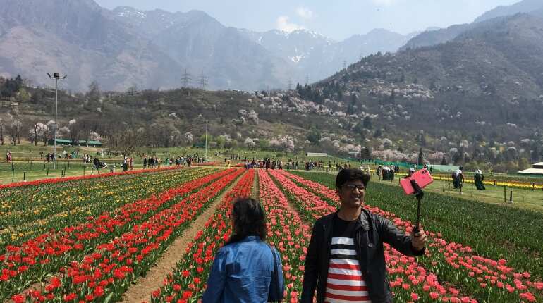 Colourful environment with beautiful aroma