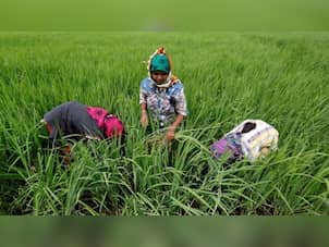 India's new farm bills: What's good, what may not be