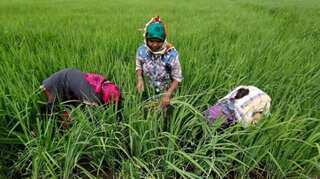 First Cabinet meet: All farmers to get Rs 6,000 a year under the expanded PM-Kisan scheme