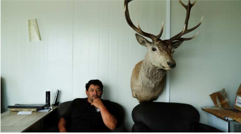 Womersley has worked at 'home kill'