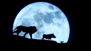 'The Lion King' records massive box-office opening, crosses Rs 50 crore mark in India