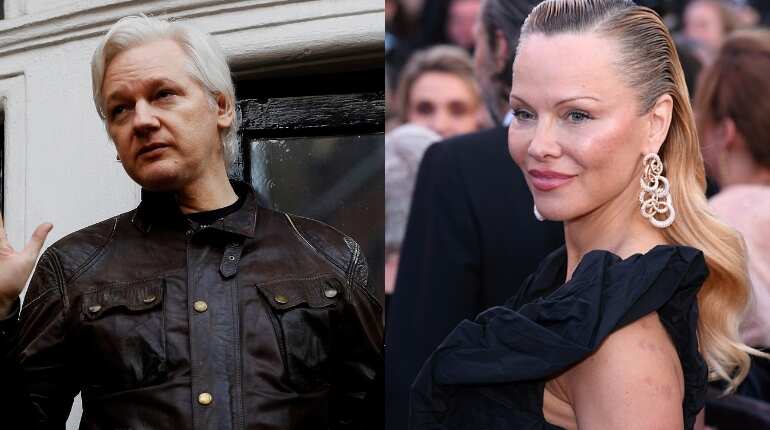 Pamela Anderson pleads to Donald Trump to pardon WikiLeaks founder Julian Assange before he leaves office