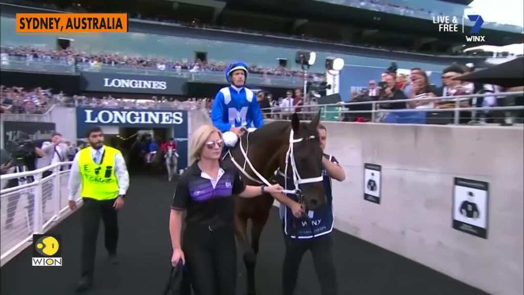 Winx, Australia's favourite horse, ends fairytale career winning final race