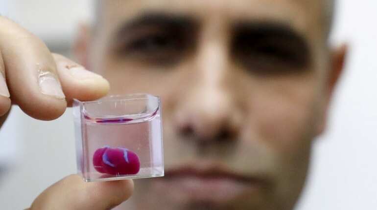 Printed hearts 'to behave' like real ones
