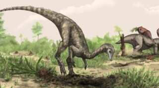 Two new dinosaur species discovered in China