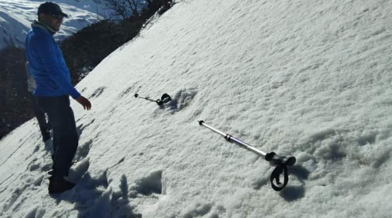 Footprints in such large numbers sighted for the first time