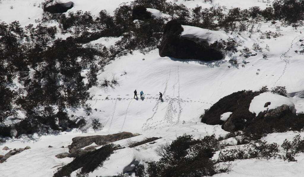 Previous encounters of the mythological 'Yeti'