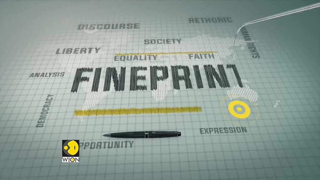 WION Fineprint: Exclusive conversation with Hurricane Chaser Josh Morgerman
