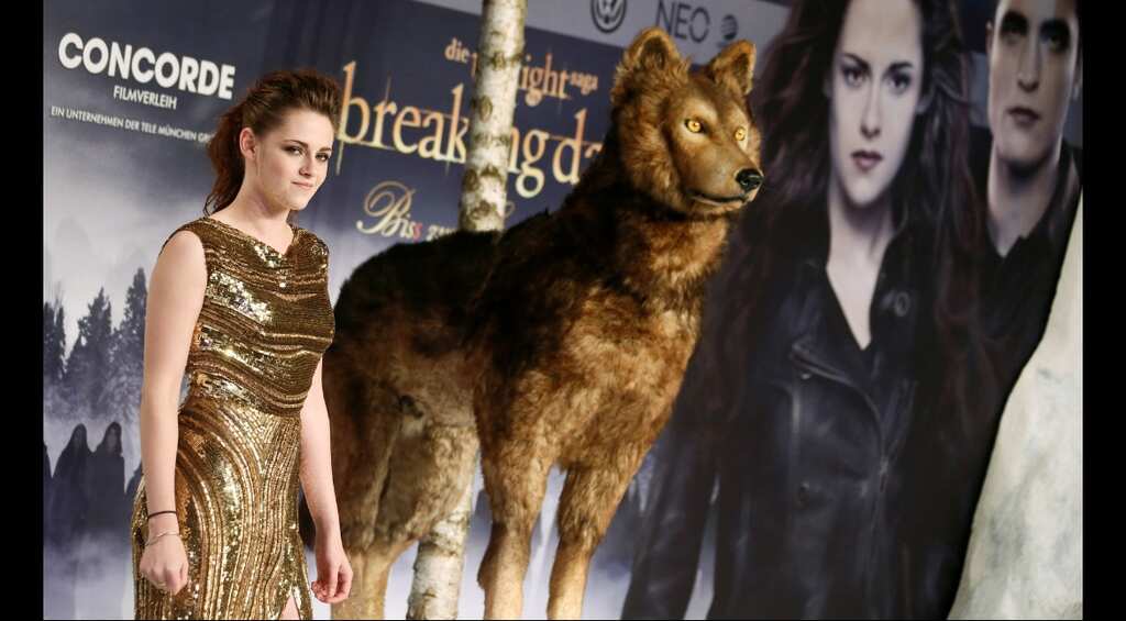 'Twilight' rises again, this time as a concert tour