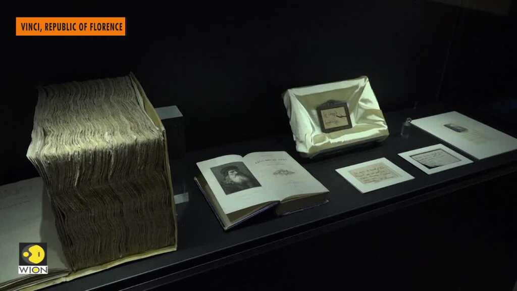 Da Vinci experts hope to resolve mystery of hair