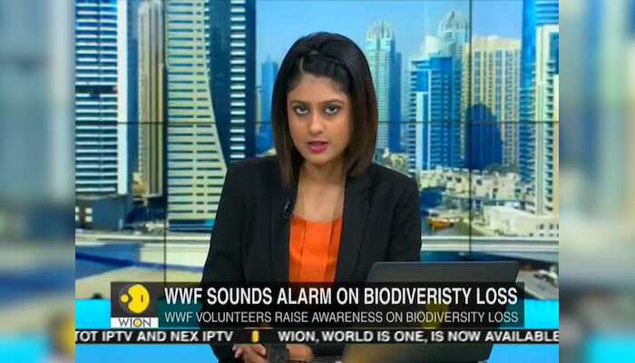 WionNews Video