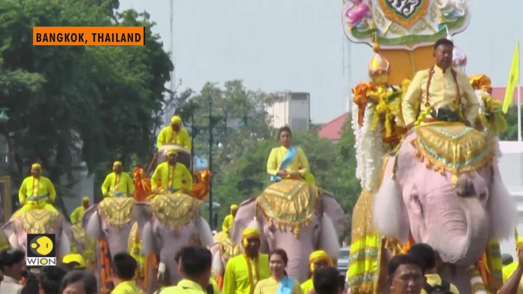 Elephants in show of respect to new Thai king