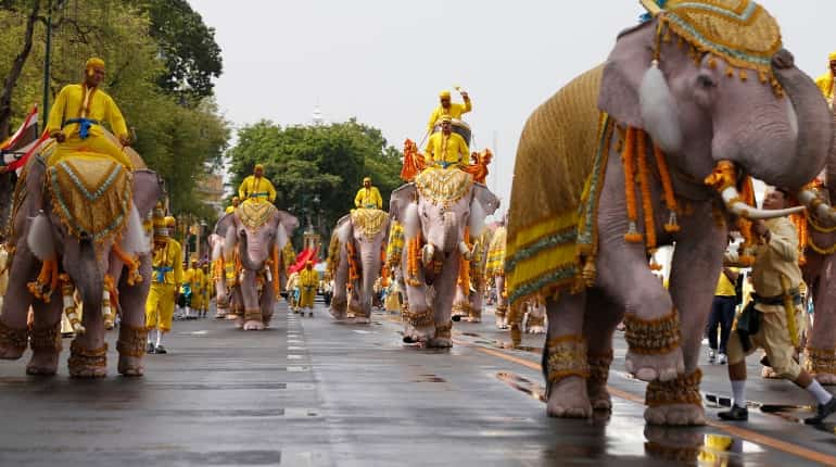 Elephant, a symbol of monarch