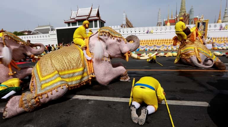 White elephant to be gifted to King
