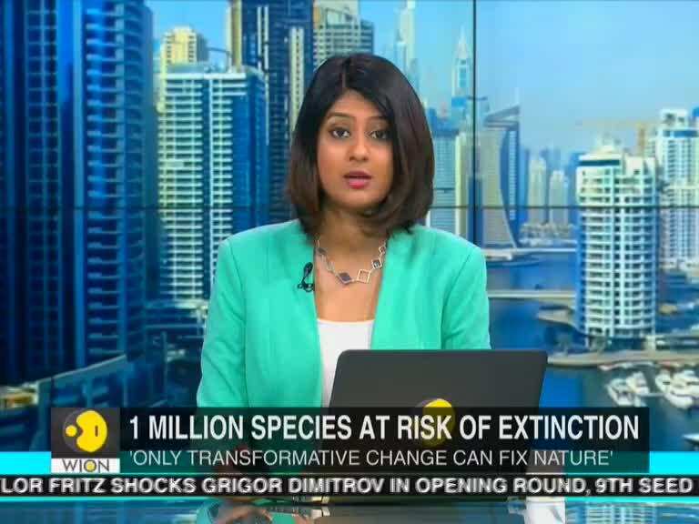 Nature is in its worst shape in human history: UN report