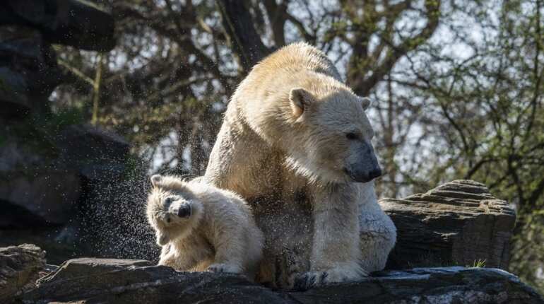 Bathing with mum
