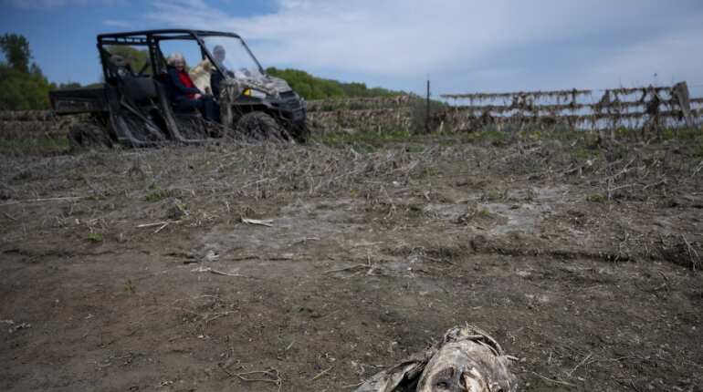 Amid trade war, floods compound Nebraska farmers' woes
