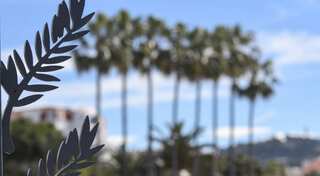 Cannes makes a killing on the film festival