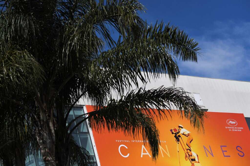 Films in the running for Cannes' 2019 top prize