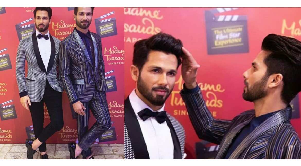 Shahid Kapoor's wax statue at Madame Tussauds Singapore is a spitting image of him Shahid Kapoor's wax statue at Madame Tussauds Singapore is a spitting image of him