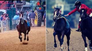 Watch: Horse Bodexpress dumps jockey, loses race but wins hearts in 144th Preakness Stakes
