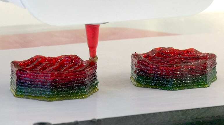 The 3D-printed customisable food supplements