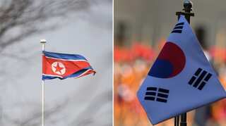 South Korea bans sending leaflets into North