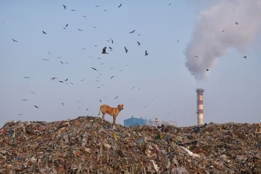 Delhi's rubbish mountain to rise higher than Taj Mahal in 2020