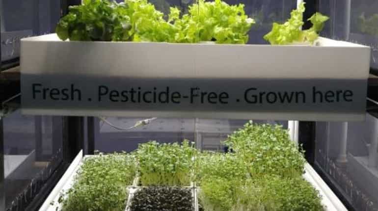 IIT’s Carbon Zero Challenge churns out innovative solutions to India’s energy, environmental challenges