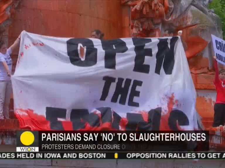 'Freedom can't wait': Hundreds march in Paris to call for closure of slaughterhouses