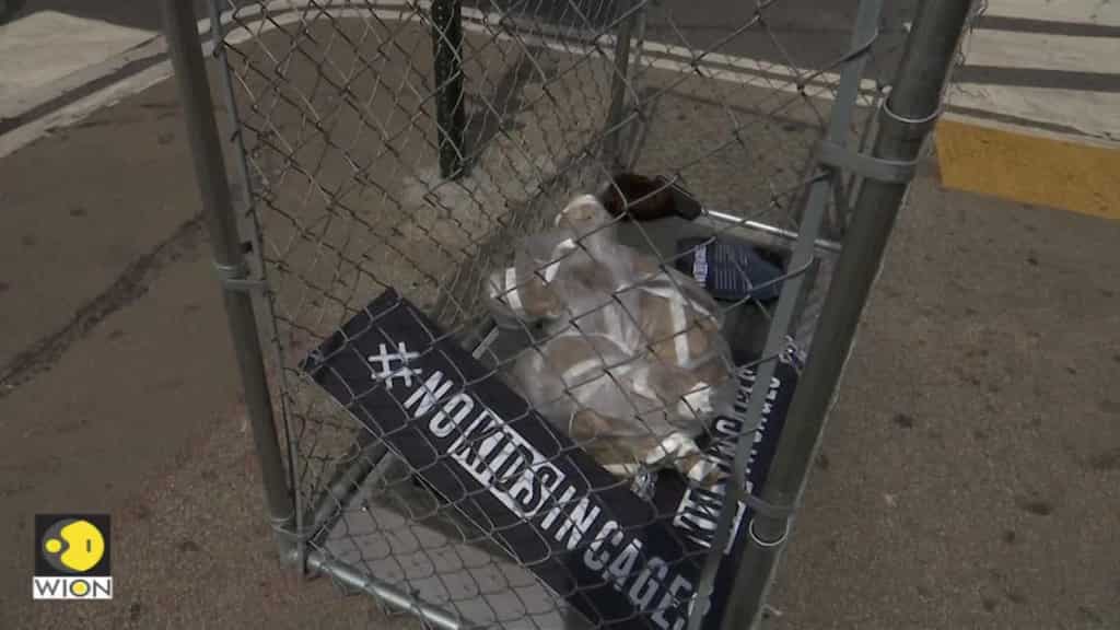 NY street art highlighting child detentions are 'absolutely heartbreaking,' says passerby