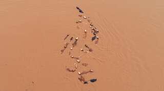 China flood death toll hits 61; 350,000 evacuated: Ministry