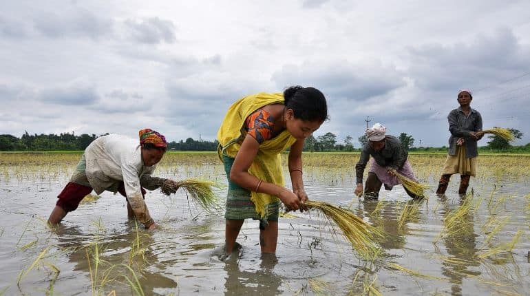 In India, all eyes on a monsoon that is critical for the economy
