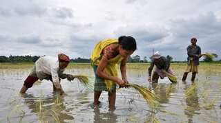In India, all eyes on a monsoon that is critical for the economy