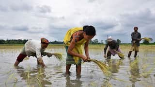 In India, all eyes on a monsoon that is critical for the economy